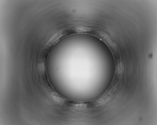 X0000091010426200708091606