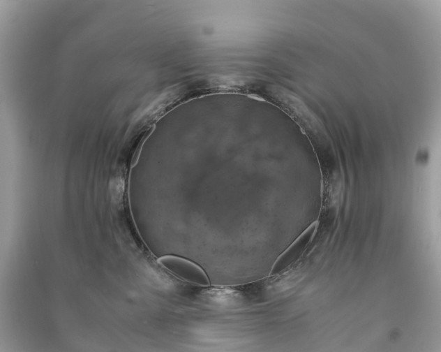 X0000091010427200708091605