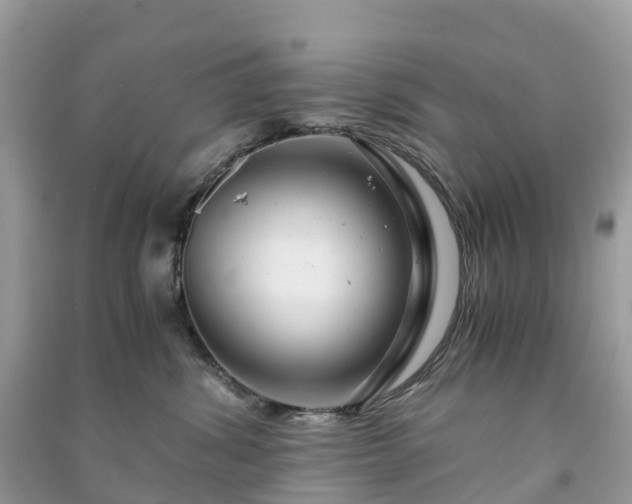 X0000091010428200708091605