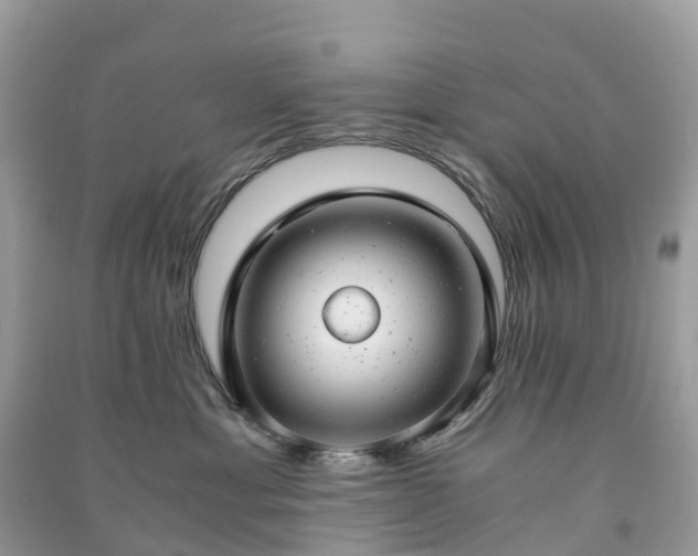 X0000091010429200708091605
