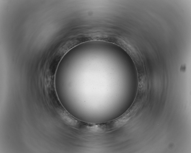 X0000091010430200708091605