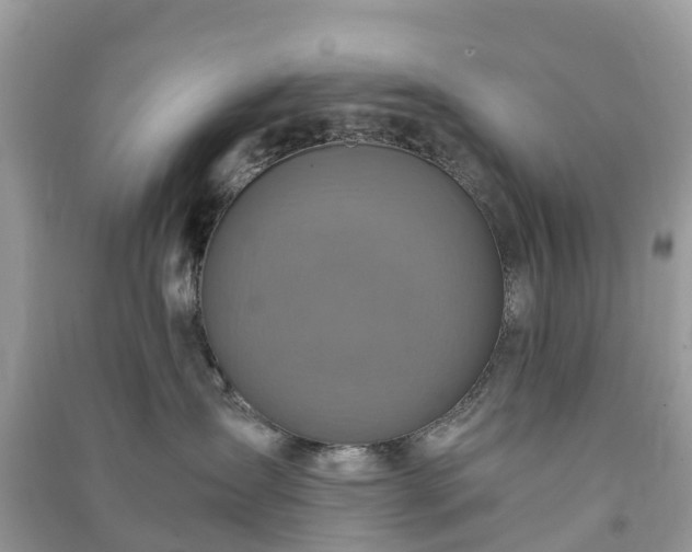 X0000091010431200708091605