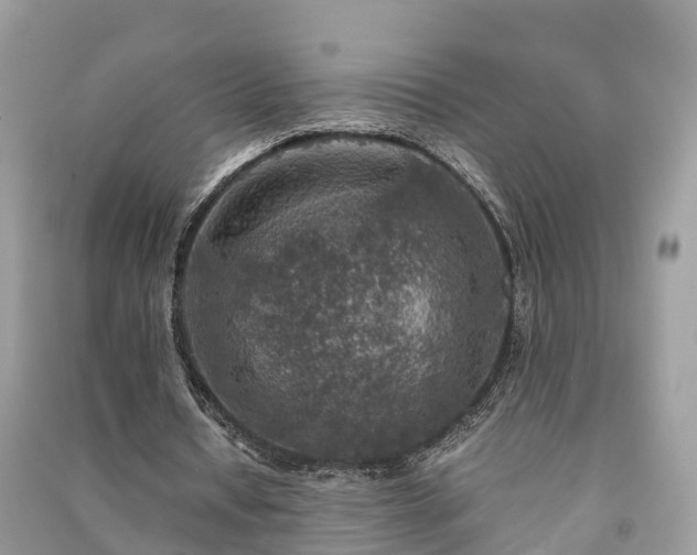 X0000091010434200708091605