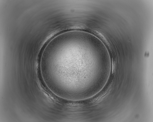 X0000091010435200708091605
