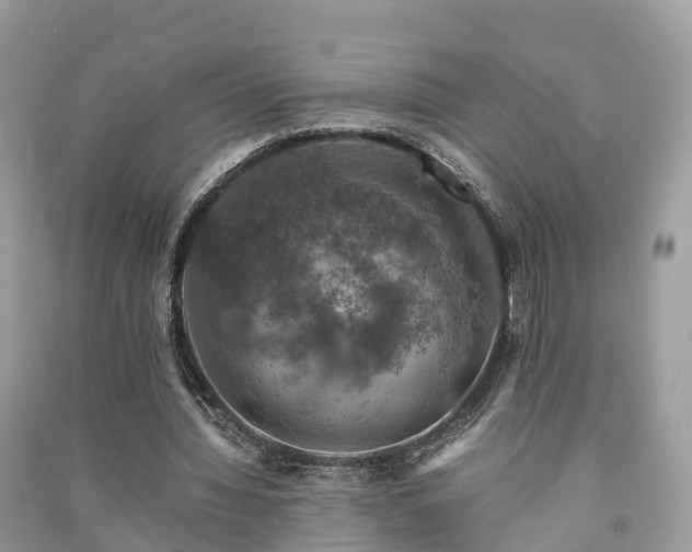 X0000091010436200708091605