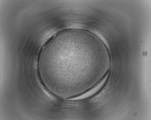 X0000091010437200708091605
