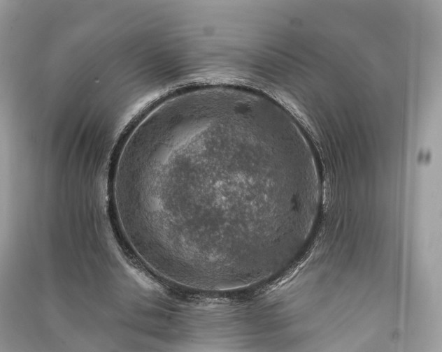 X0000091010438200708091605