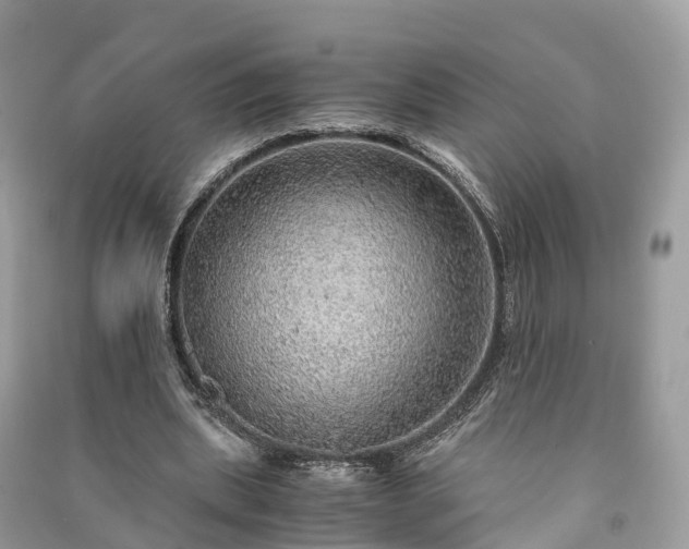 X0000091010439200708091605