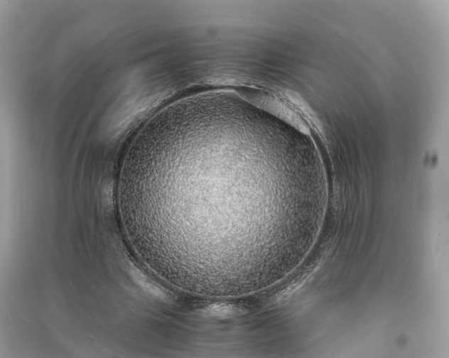 X0000091010441200708091605