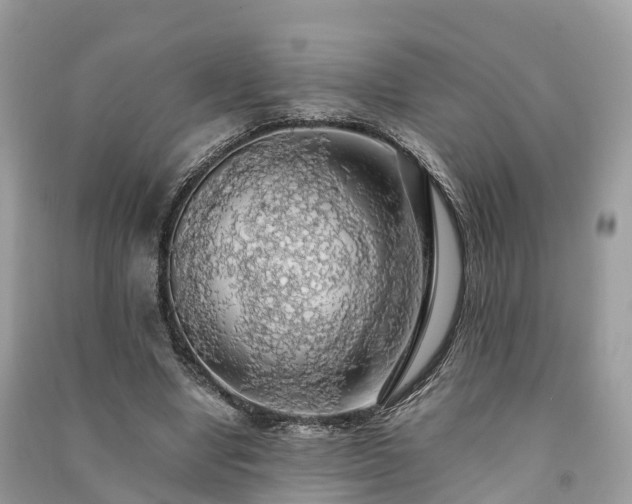X0000091010442200708091605