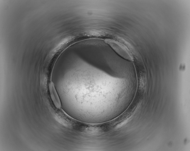 X0000091010444200708091605