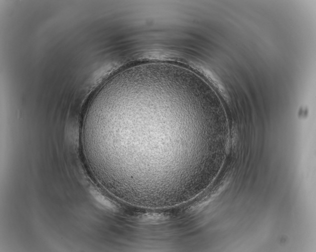 X0000091010445200708091605