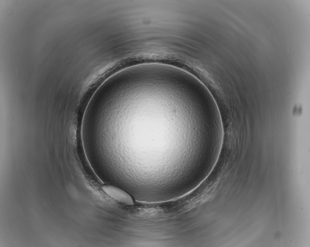 X0000091010446200708091605
