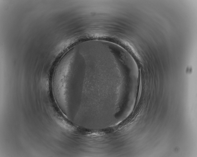 X0000091010447200708091605