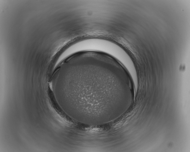 X0000091010448200708091605
