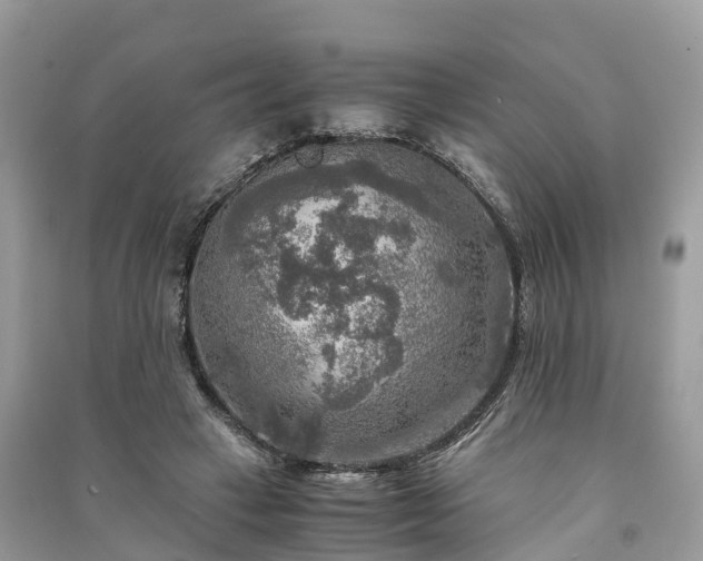 X0000091010449200708091605