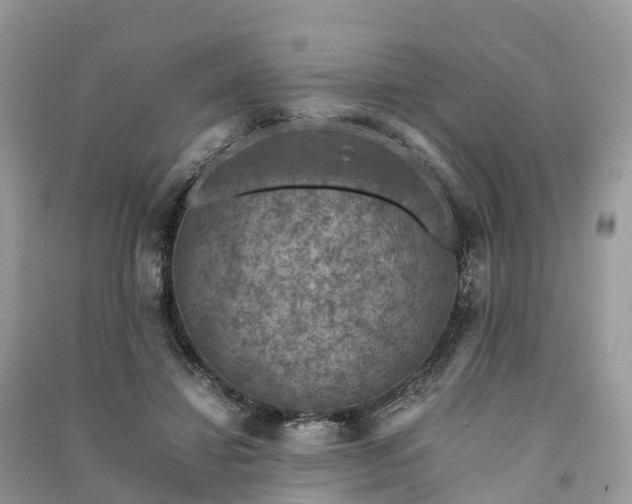 X0000091010452200708091605