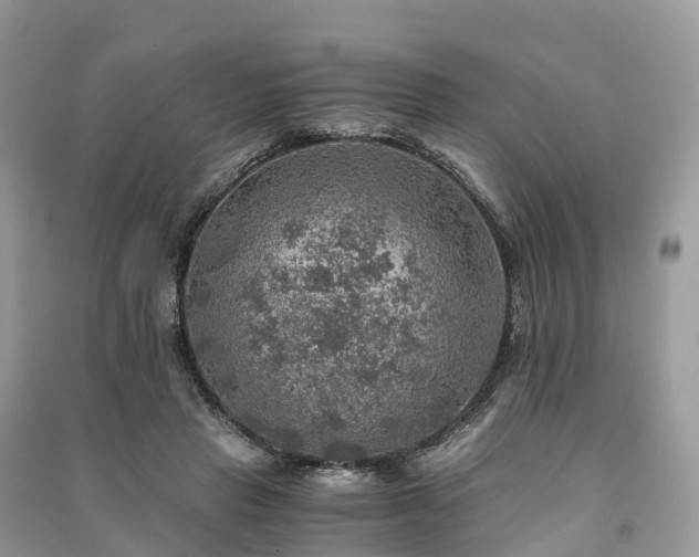 X0000091010453200708091605