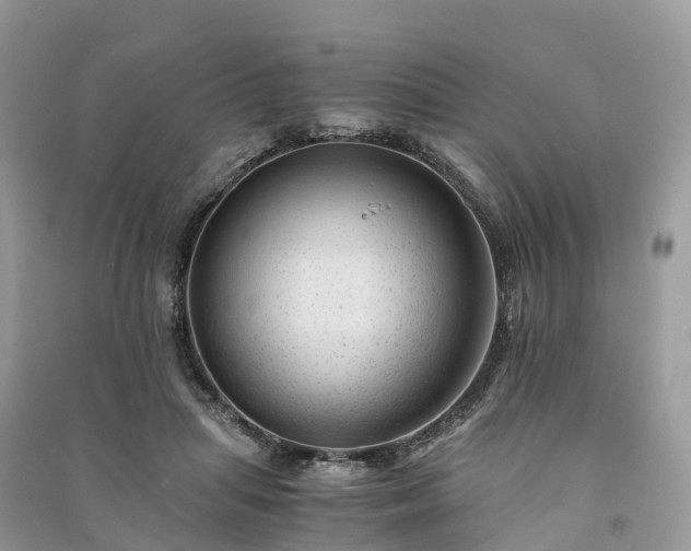 X0000091010455200708091605