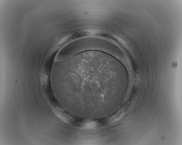 X0000091010456200708091605