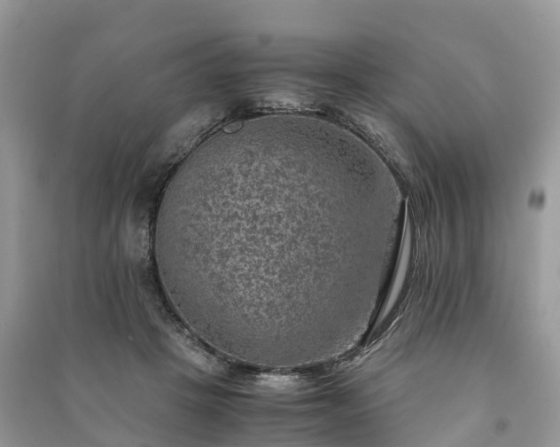 X0000091010457200708091605