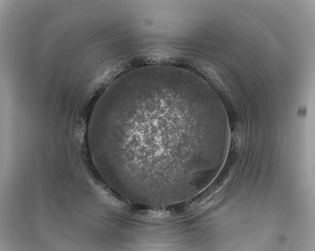 X0000091010458200708091605