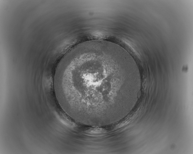 X0000091010459200708091605