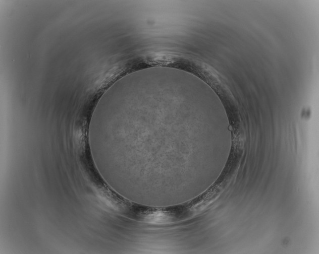X0000091010460200708091605