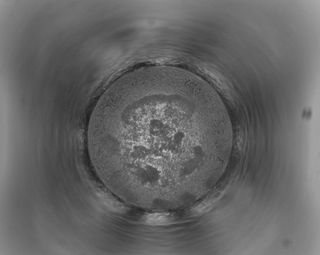 X0000091010461200708091605