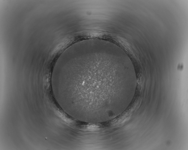 X0000091010462200708091605