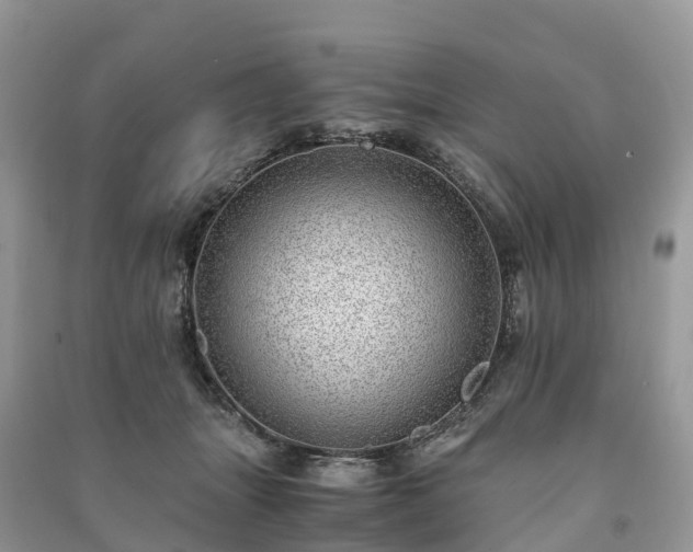 X0000091010463200708091605