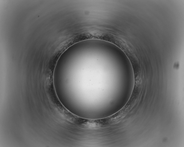 X0000091010464200708091605
