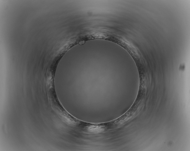 X0000091010465200708091605