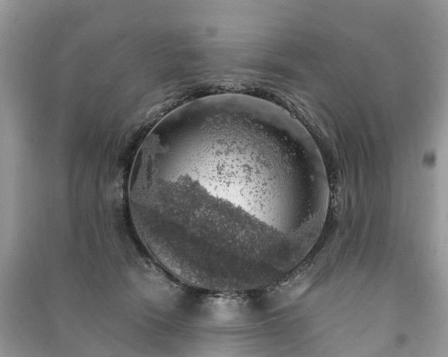 X0000091010466200708091605