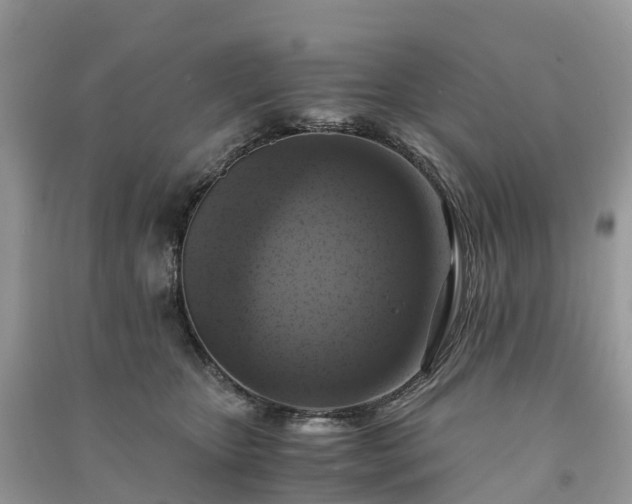 X0000091010467200708091605