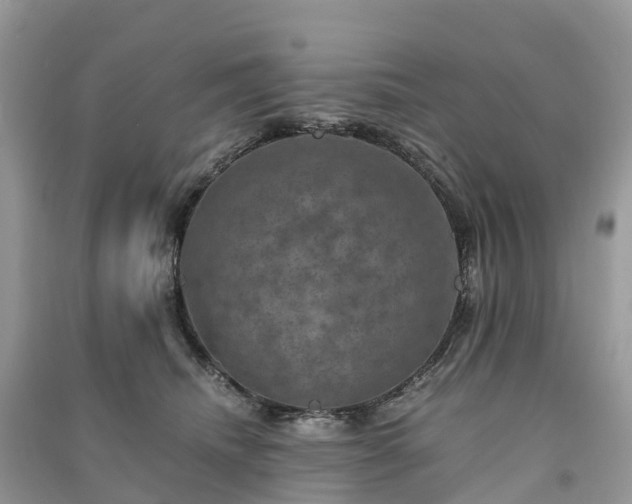 X0000091010468200708091605