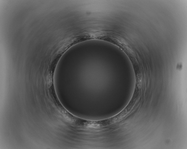 X0000091010471200708091605