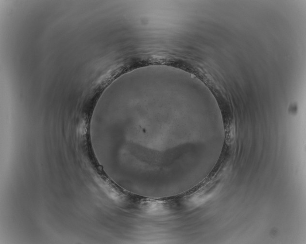 X0000091010472200708091605