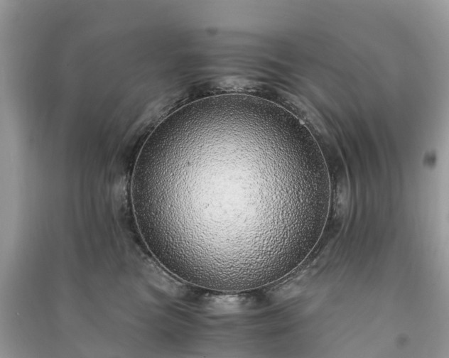 X0000091010473200708091605