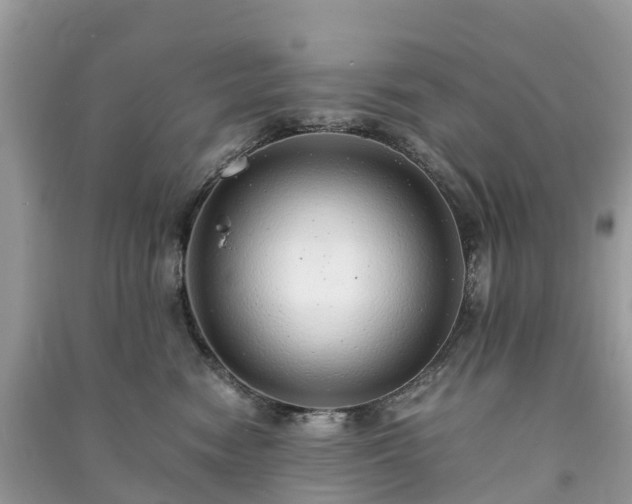 X0000091010474200708091605