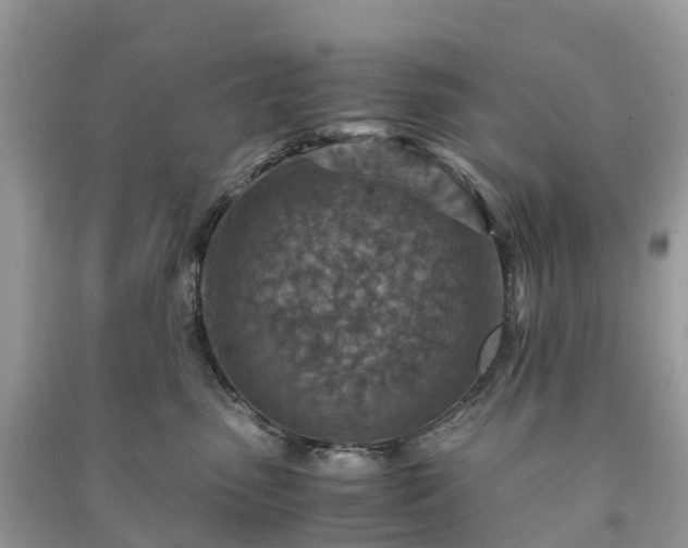 X0000091010475200708091605