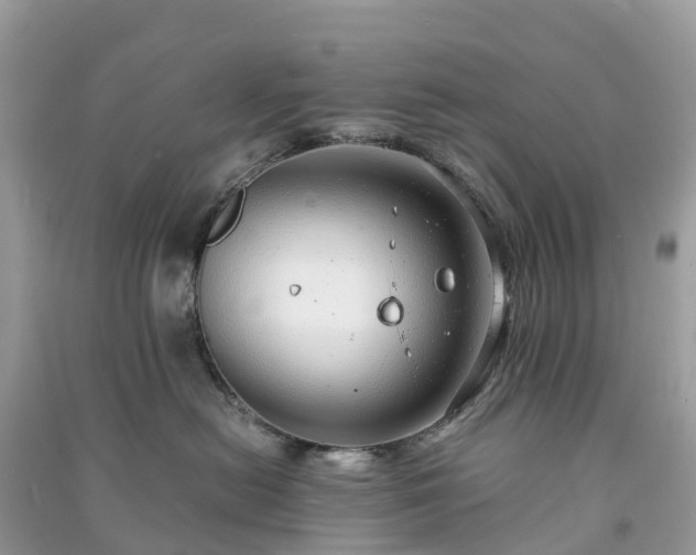 X0000091010478200708091605