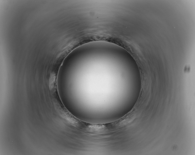 X0000091010480200708091605