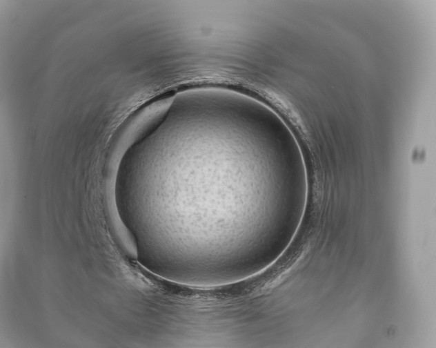 X0000091010481200708091605