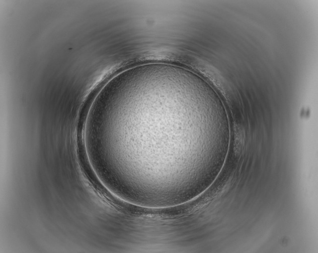 X0000091010482200708091605