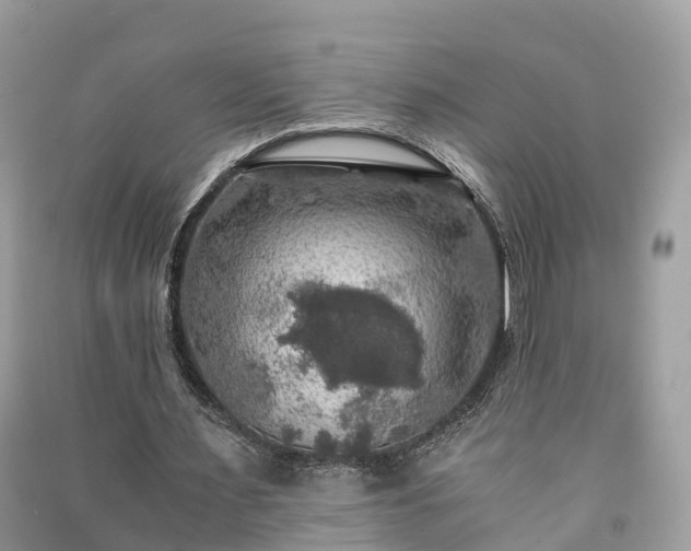X0000091010483200708091605