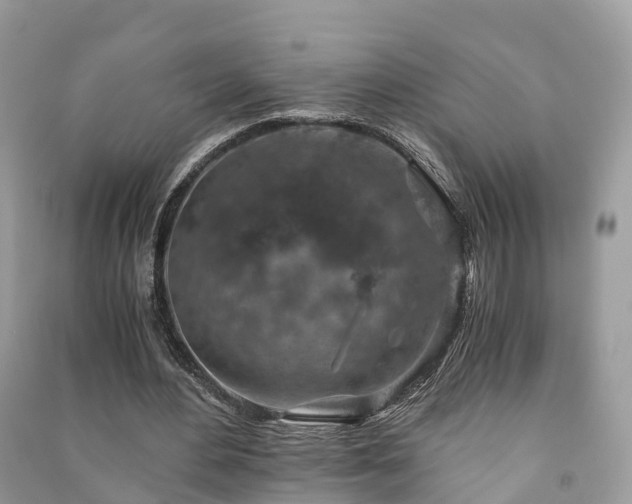 X0000091010484200708091605