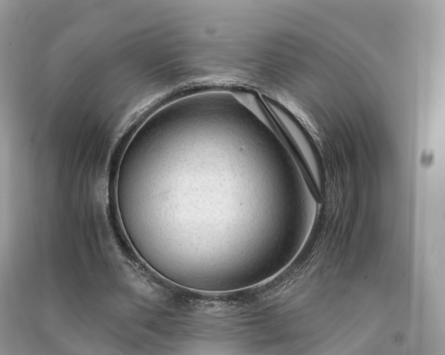 X0000091010486200708091605