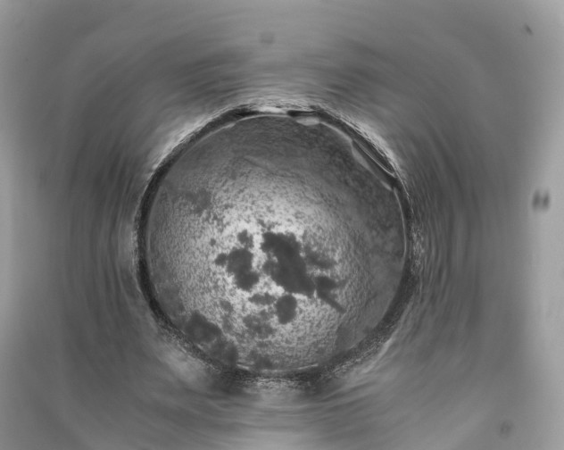 X0000091010487200708091605