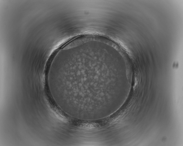 X0000091010488200708091605